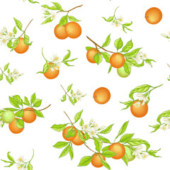 Orange tree branch with fruits, flowers and leaves. Seamless pattern, background. Colored vector illustration. Isolated on white background..