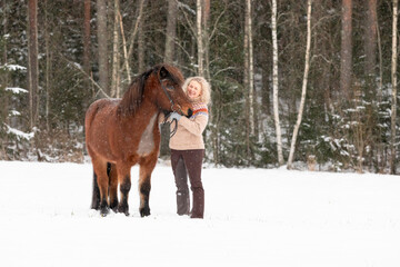 Icelandic horse in wintery scene in Finland