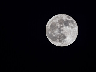 Obraz premium Vollmond