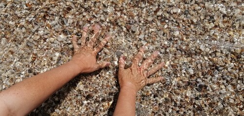 Seawater with seashells. Women's hands take seashells in seawater. High quality photo