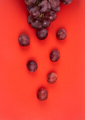 Bunch of grapes Red Globe on red background