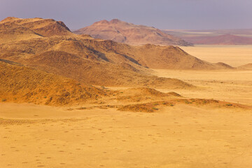 Fototapeta na wymiar Sossus Vlei Sesriem, Namib desert, Namibia, Africa