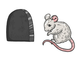 Mouse and hole in the wall sketch raster