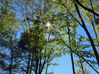 Obraz premium OLYMPUS DIGITAL CAMERA