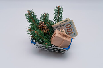 Shopping basket with gift box, banknotes and pine tree branch. Money as present. Christmas and New Year shopping concept