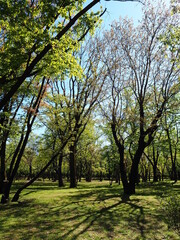 Obraz premium OLYMPUS DIGITAL CAMERA