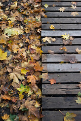 Fallen autumn leaves on a wooden path in the park