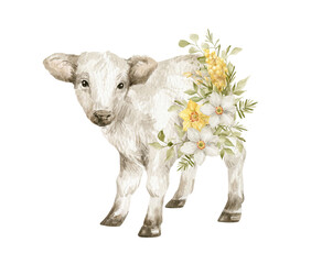 Watercolor baby cow and flower bouquets. Easter animals and floral. Cute farm pet, narcissus, mimosa, leaves. 