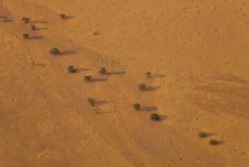 Fototapeta na wymiar Sossus Vlei Sesriem Desierto Namib Namibia Africa