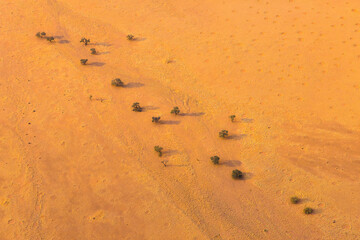 Sossus Vlei Sesriem,  Namib desert, Namibia, Africa