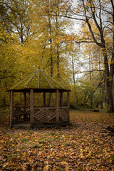 Old moss-covered gazebo in an autumn park.