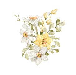 Fototapeta na wymiar Watercolor bouquet with yellow narcissus flowers, branches and leaves isolated on white. Aesthetic spring composition, floral arrangements, delicate flowers