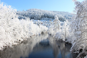 Fluss im Winter umgeben von schneebedeckten Bäumen
