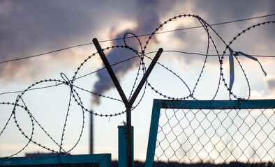 Barbed wire on the background of the plant