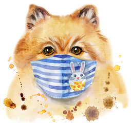 Watercolor portrait of dog pomeranian spitz in face mask
