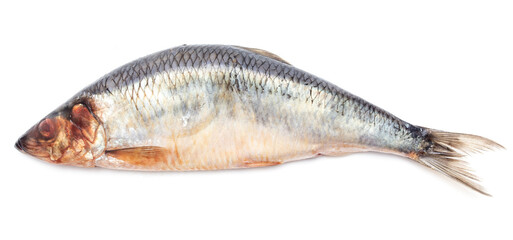 Herring isolated on a white background.