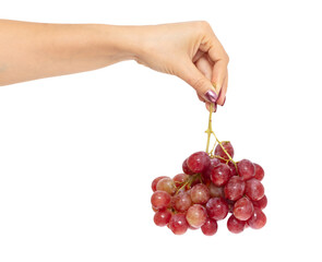 Red grapes in hand isolated on white