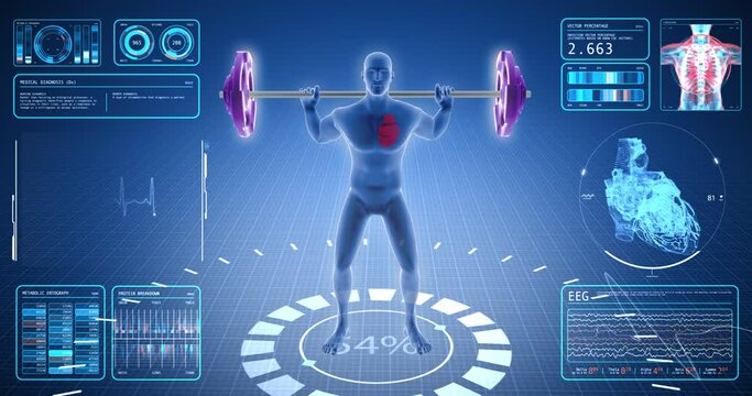 Weight exercise, sport, weight lifting, gym, medical screen, human anatomy, computer anatomy, body skeleton, X-ray scan