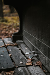 Abandoned piano