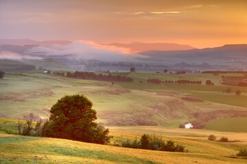 Fototapeta premium DAWN GLOW OVER SUMMER FIELDS, Underberg, Southern Drakensberg, South Africa 