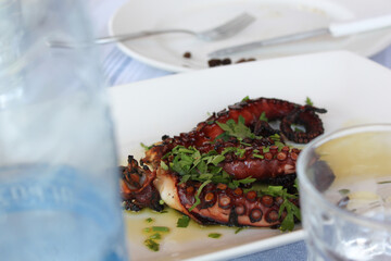 Grilled Octopus with parsley on plate