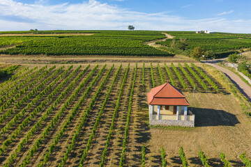 Bird's eye view of the vineyards with a vineyard cottage near Mölsheim / Germany in Rheinhessen on a sunny summer day