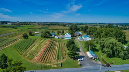 Aerial View of Multiple Farms and Pastures with Field of Corn and other Vegetables Growing on Them on a Beautiful Summer Day