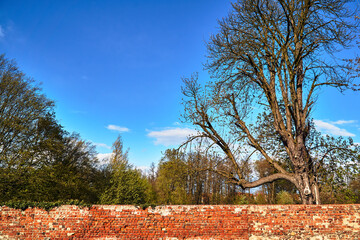 Medieval defensive wall of stones and bricks in the city of Osno