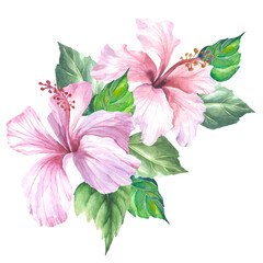 hibiscus flower.watercolor