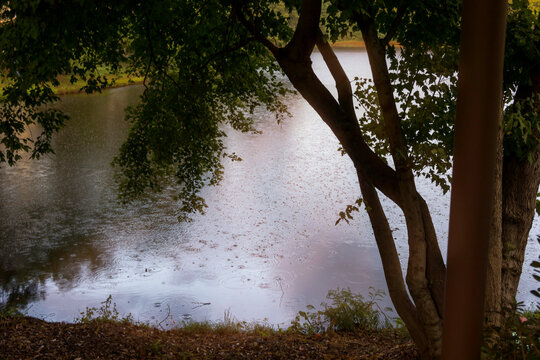 Trees By Lake In Forest Against Sky © mollie kracht/EyeEm