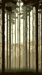 Vertical illustration with view from pine trunks woods and grassy coniferous forest.