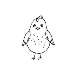 Chicken, symbol of Easter on a white background. Scribble. Hand drawing. Vector.