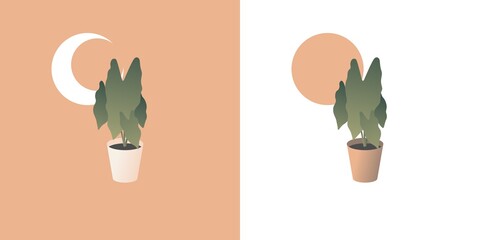 Vector illustration of indoor plants with beautiful gradient named begonia