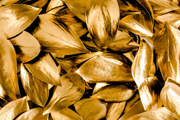 Pattern, texture with gold leaves isolated on white background. flat lay, top view