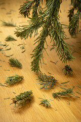 A branch of a Christmas tree near the floor. Fir-tree branches and needles on the parquet.