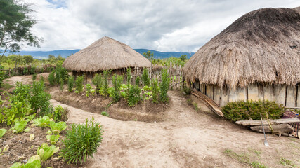 Plakat Traditional Dani village Wamena in Baliem Valley in Indonesia, Papua New Guinea.