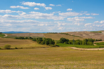 Fototapeta na wymiar The late summer landscape around Montalcino in Siena Province, Tuscany, Italy