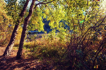 Lakeshore with trees on an autumn sunny morning