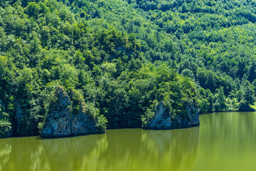 Obraz premium lake in the forest