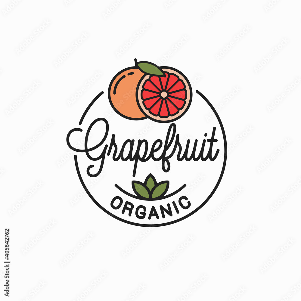 Sticker orange fruit logo. round linear logo of orange