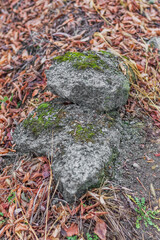 Fall. Big gray stones on ground
