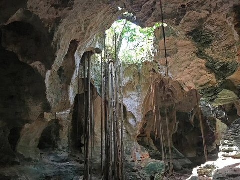 Spooky cave with vines growing in The Bahamas