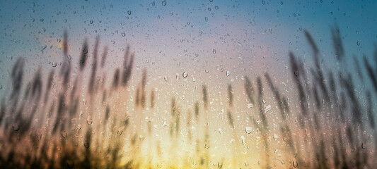 Raindrops on the window with beautiful nature background in morning.