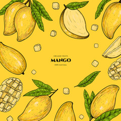 Vector frame with mango. Hand drawn. Vintage style