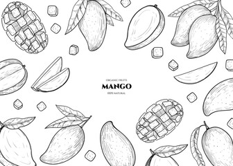 Vector frame with mango. Hand drawn. Vintage style