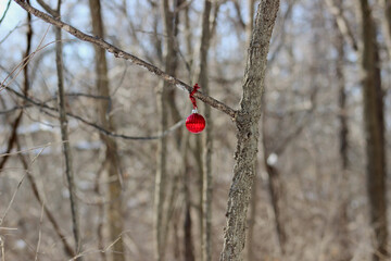 Ornament in snow