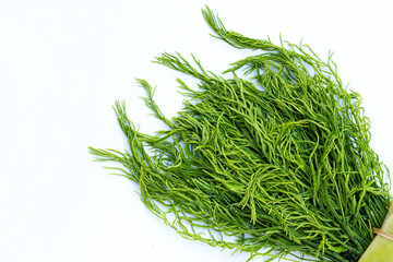  Climbing Wattle or Acacia leaves on white backgrond.