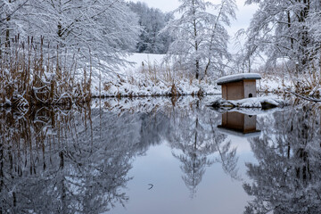 Winterträumereien am Teich 3