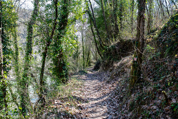 Tzoumerka, Epirus, Greece - March 10, 2019: Walking into the forest