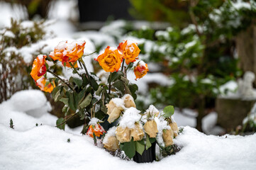 Schneebedeckter historischer Friedhof Weimar mit Fürstengruft und russisch-orthodoxer Kapelle
